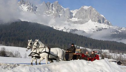 Viața calului lipizzanian al unui cal celebru