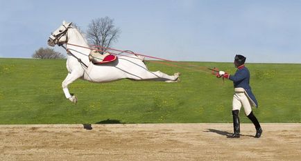 Lipitsianskaya híres lovas élet ló