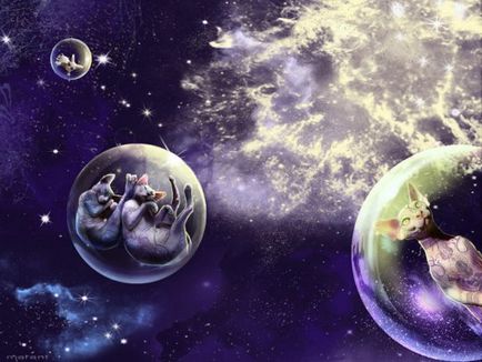 Лисі кішки прибульці з космосу, статті