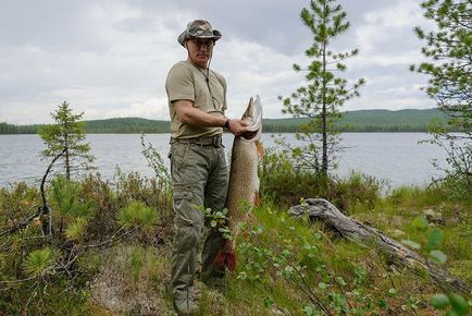 Ловля щуки в жовтні як ловити щуку, яка блешня і воблер краще для лову щуки в жовтні