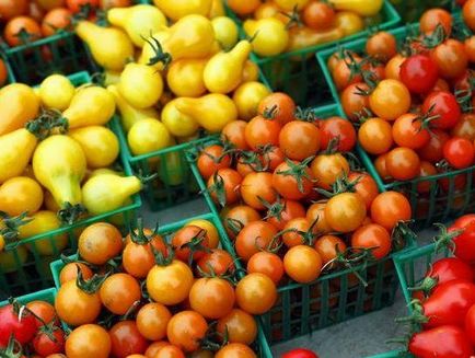 Кращі сорти томатів - сад для всієї родини - практичне садівництво