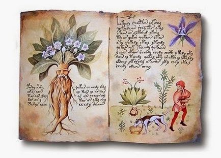 Magia plantelor, una a doamnei - o revista pentru femei