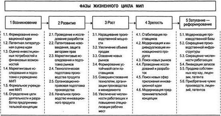 Малі інноваційні підприємства (мип), загальний порядок створення нового мип - інноваційне