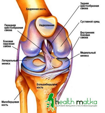 Metode de diagnosticare și tratament al afecțiunilor articulației genunchiului