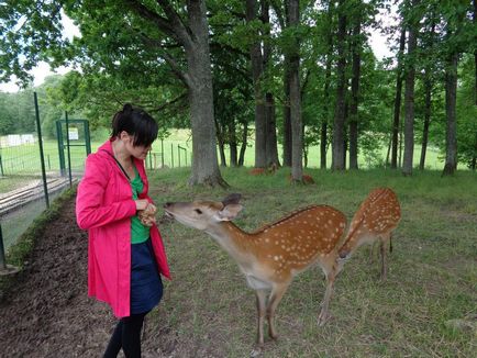 Mini zoo și alte menajeri din Letonia și din apropiere - clubul de femei - clubul mamei mele