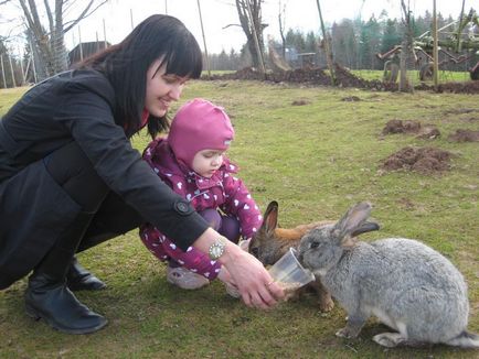 Mini állatkert és más állatkertekben Lettország és a közeli - egyházi - Mama Klub