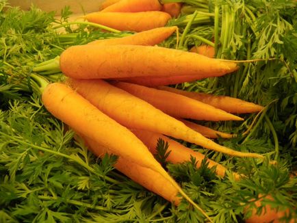 Морква в косметиці з бабусиної скриньки, o-gorod