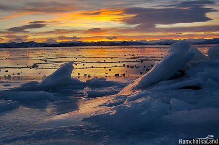 Marea în Kamchatka, kamchatkaland