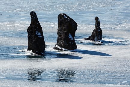 Моря на камчатці, kamchatkaland