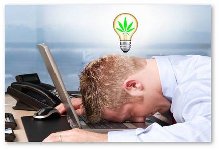 Marijuana poate îmbunătăți concentrarea și productivitatea?
