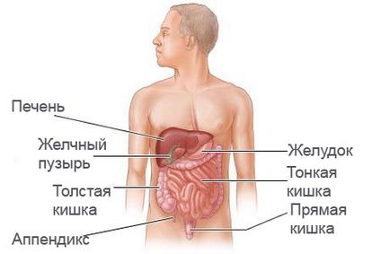 Mirtul cavității abdominale și spațiul retroperitoneal
