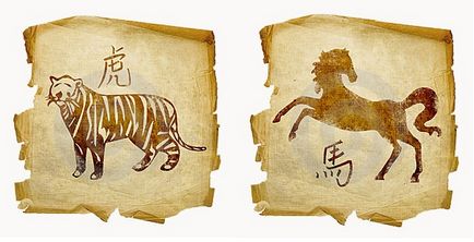 Férfi tigris és egy nőstény kutya - jelek kompatibilitás