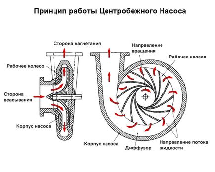 Насоси для опалення grundfos принцип роботи, монтаж, гідності, фото і відео