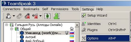 Configurarea teamspeak