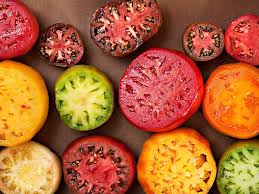 Soiuri non-hibride și hibride de tomate - tomate de cultivare într-o seră