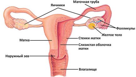 Obstrucția tuburilor uterine