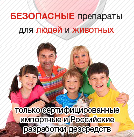 Ніякими клопами коньяк не пахне! Знищення клопів в Москві і московській області