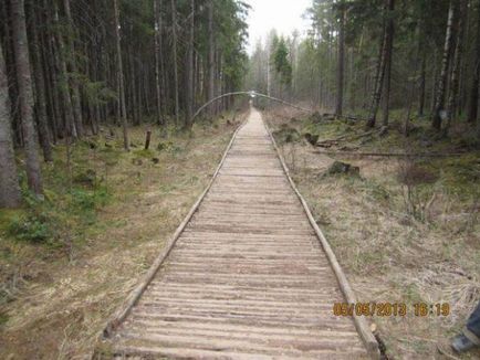 Никандровие пустель (невеликий фотозвіт з поїздки) - блог