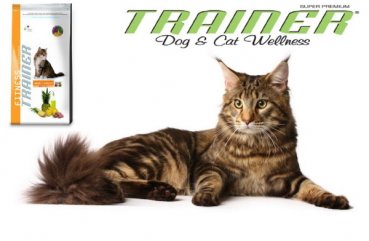 Огляд корми trainer для кішок лінійка, склад, переваги і недоліки