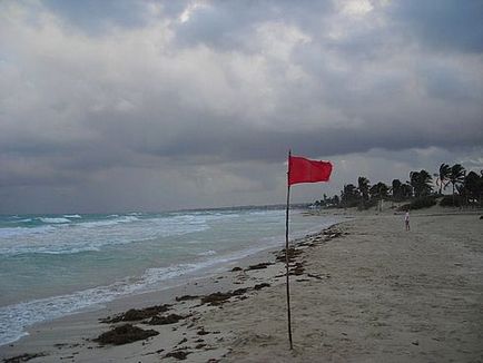Óceán vagy miért nem tud úszni, amikor a piros zászlók