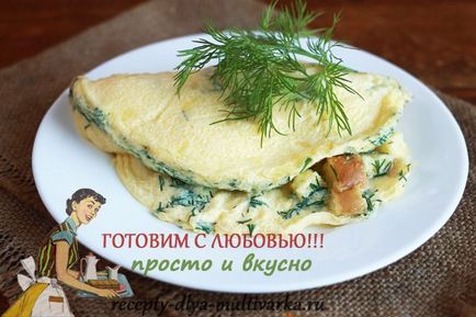 Omeletă într-un abur în Redmond Multimark, cum să gătești o omletă magnifică cu abur