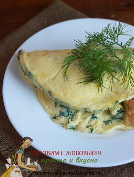 Omeletă într-un abur în Redmond Multimark, cum să gătești o omletă magnifică cu abur