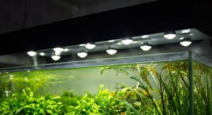 akvárium világítás saját kezűleg kiválasztásában lámpák és erőszámítás