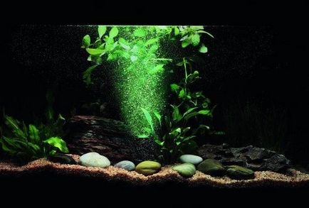 akvárium világítás saját kezűleg kiválasztásában lámpák és erőszámítás