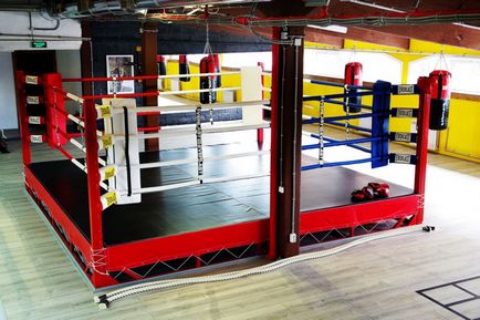 Deschideți clubul de box în condiții de criză șanse excelente de succes!