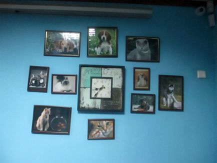 Vélemények az Alpha Vita Veterinary Clinic, Kiev Ukrajna