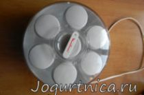 Feedback despre yogurtnitsa severin jg 3519