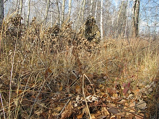 Мисливські засидження, скрадки, Лабазов