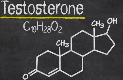 Cu privire la importanța testosteronului pentru femei