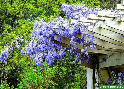 Pergola saját kezűleg - a táj design saját kezébe