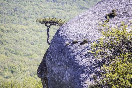 Cave város Eski-Kermen útvonalakat, helyét, leírását, hogyan juthatunk el oda autóval és gyalog