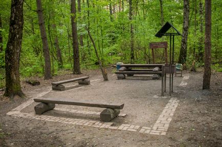 Piknikezőhelyek keleti részén az erdő aleshkinskogo, peep - Tushino - piknik -