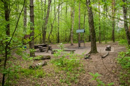 Site de picnic în partea de est a pădurii Aleshka, pip-tushinsky - locuri de picnic -