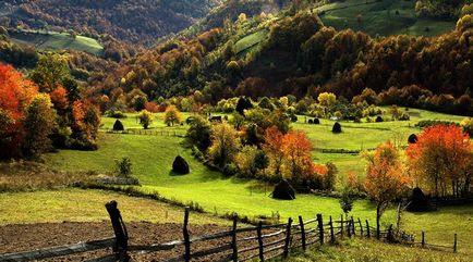 Плюси і мінуси життя в селі, плюси і мінуси