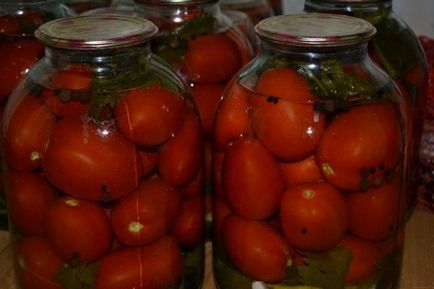 Tomatele conservate cu o reteta verde de top de morcov pentru iarna, cu prajituri, frunze, fotografii,