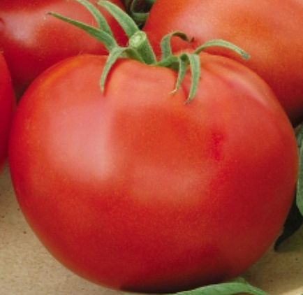 Tomatoes Sunrise f1 Descrierea varietății și descrierea acesteia