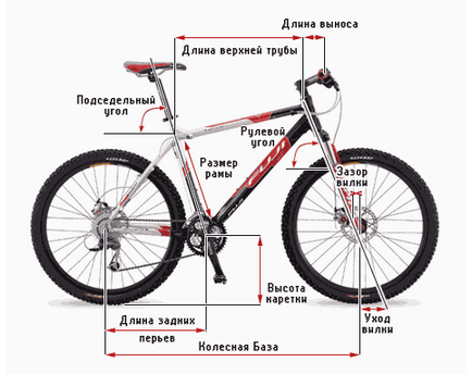 правильна посадка