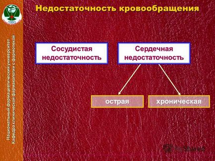 Презентація на тему пропедевтика в кардіології