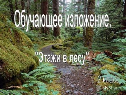 Előadás a történet a természetes erdők közösség Paramonov Denis 3 - és - 2014