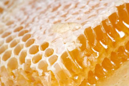 Продукти бджільництва та їх застосування