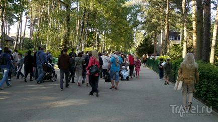 O plimbare prin grădina zoologică din Riga