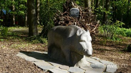 O plimbare prin grădina zoologică din Riga