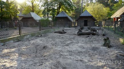 O plimbare prin grădina zoologică din Riga