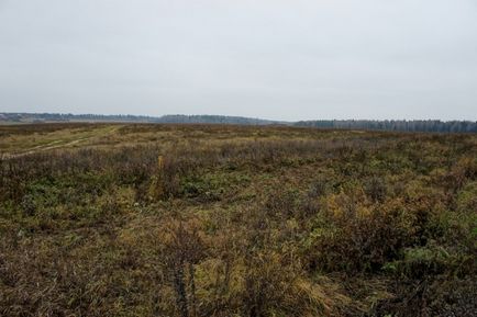 Перегляд поста - як влаштувати постапокаліпсіс на рівному місці