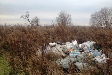 Перегляд поста - як влаштувати постапокаліпсіс на рівному місці