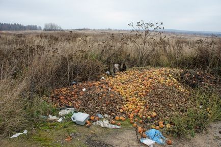 Afișați postarea - cum să aranjați postapocalipsis pe un plan